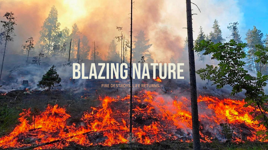 Blazing Nature